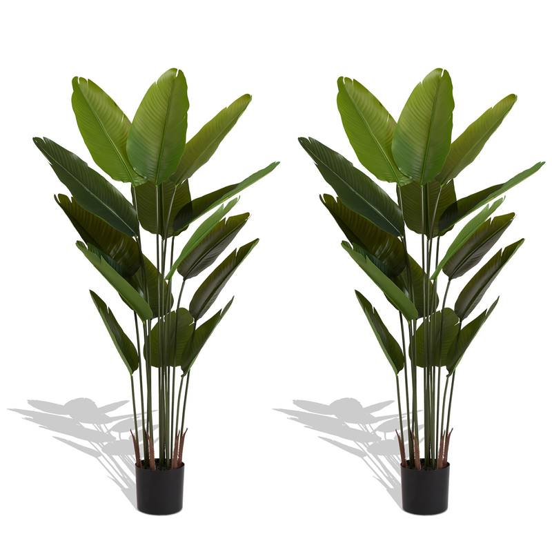 Traveler's Banana Leaf Décor Set