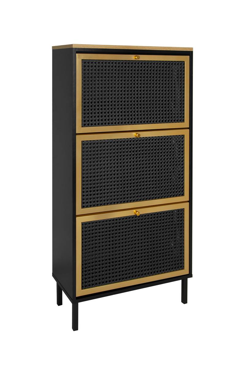 Chic Metal Shoe Rack for Entryway