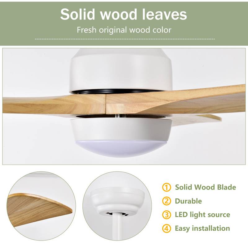 Cozy Breeze Ceiling Fan with Lights & Remote