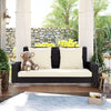 Cozy Duo Wicker Swing with Cushions