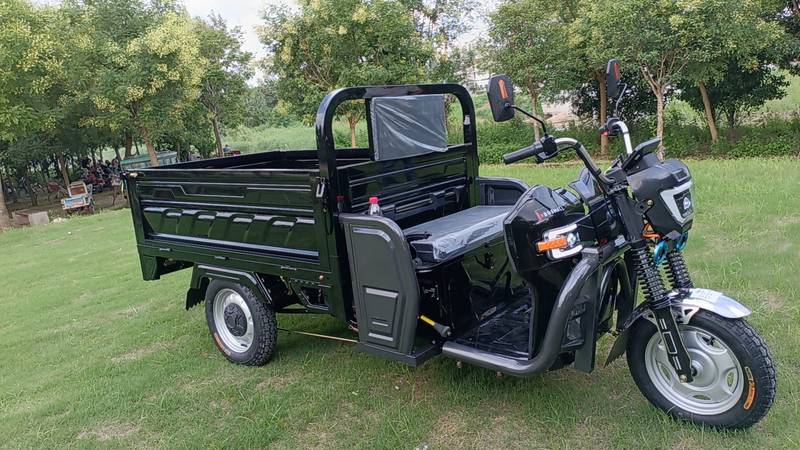 E-Z Ride Electric Trike