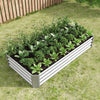 Shiny Silver Garden Bed for Fresh Greens