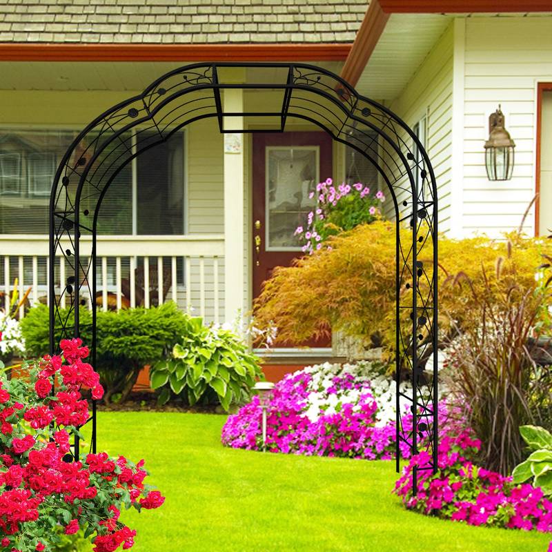 Elegant Climbing Arch for Garden Plants