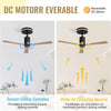 WhisperCool LED Ceiling Fan with Remote