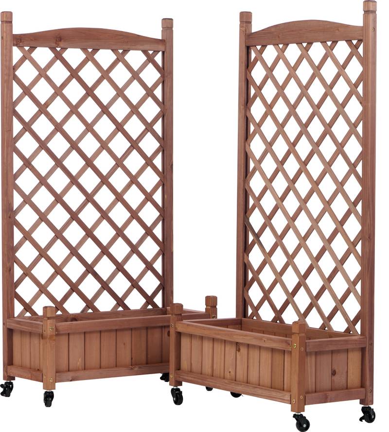 Garden Oasis Duo: Raised Planter with Climbing Trellis
