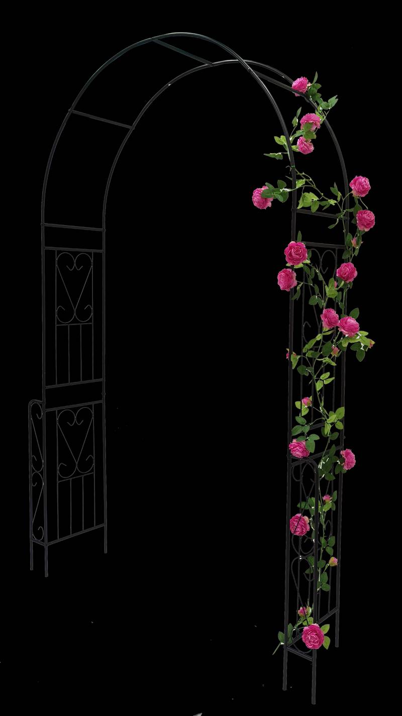 Elegant Garden Arch for Climbing Plants