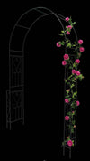 Elegant Garden Arch for Climbing Plants