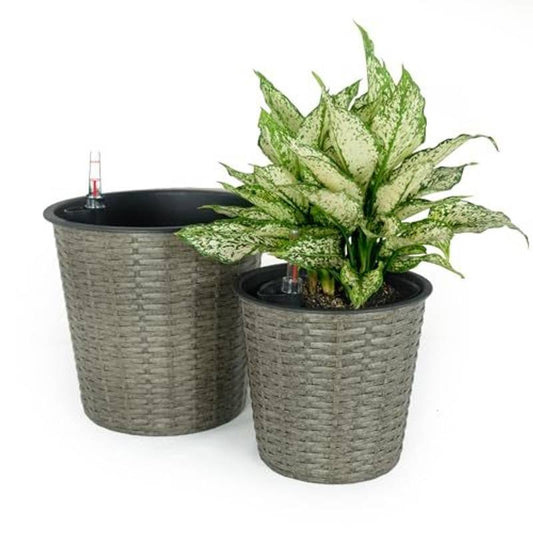 Dual Self-Watering Wicker Planters - Round Grey Decor