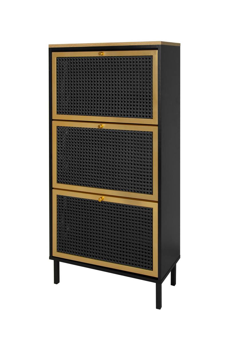 Chic Metal Shoe Rack for Entryway