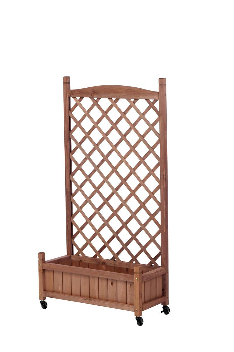 Garden Oasis Duo: Raised Planter with Climbing Trellis