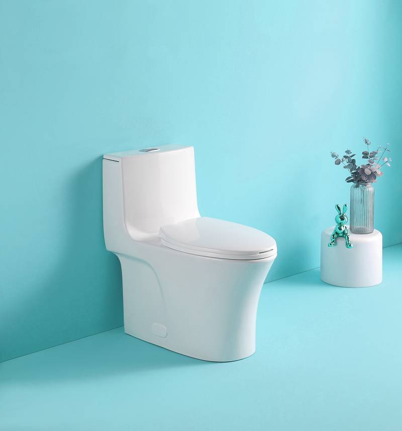 EcoFlush Comfort Toilet