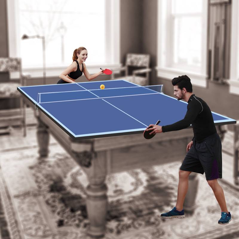 Blue Foldable Ping Pong Table Top for Indoor Fun