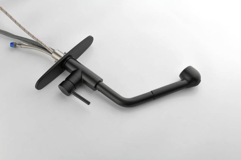 Sleek Matte Black Pull-Down Kitchen Faucet