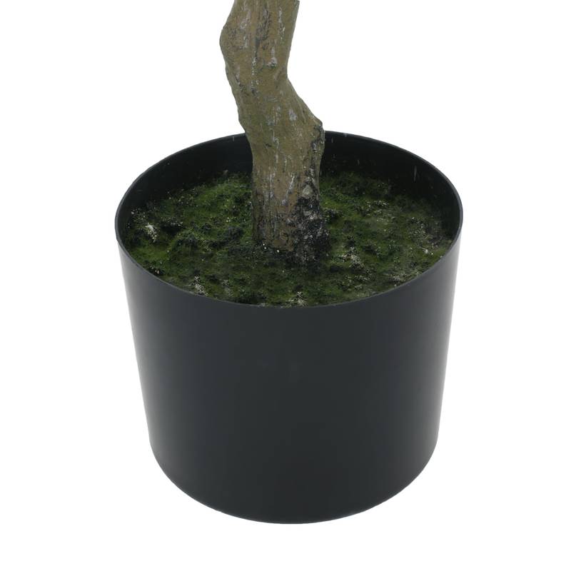 Milan Leaf Bonsai Tree