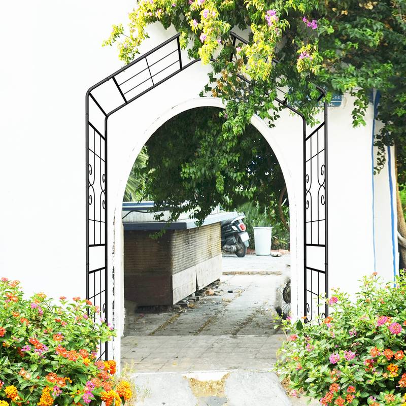 Elegant Climbing Arch for Gardens