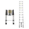 Versatile Telescoping Ladder - Lightweight & Heavy-Duty!