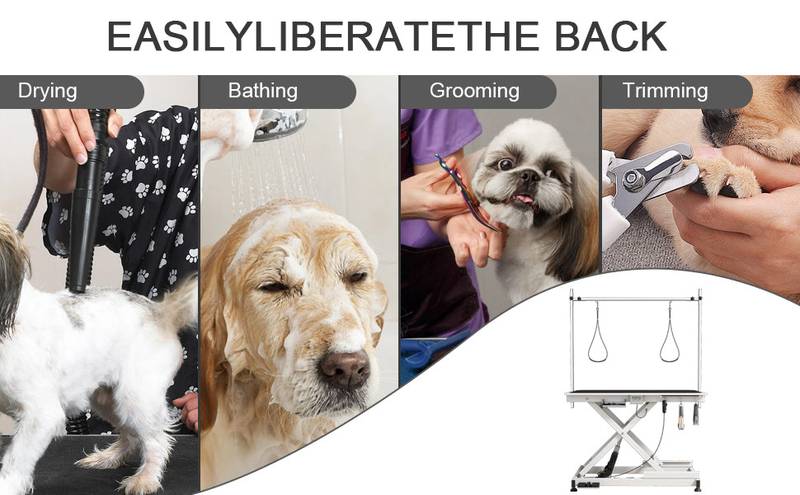 GroomMaster Electric Pet Table