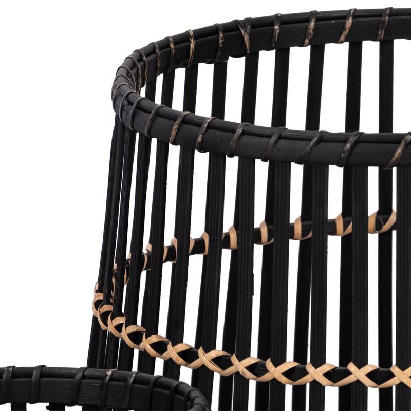 Bamboo Delight Plant Set - Stylish Black Planters