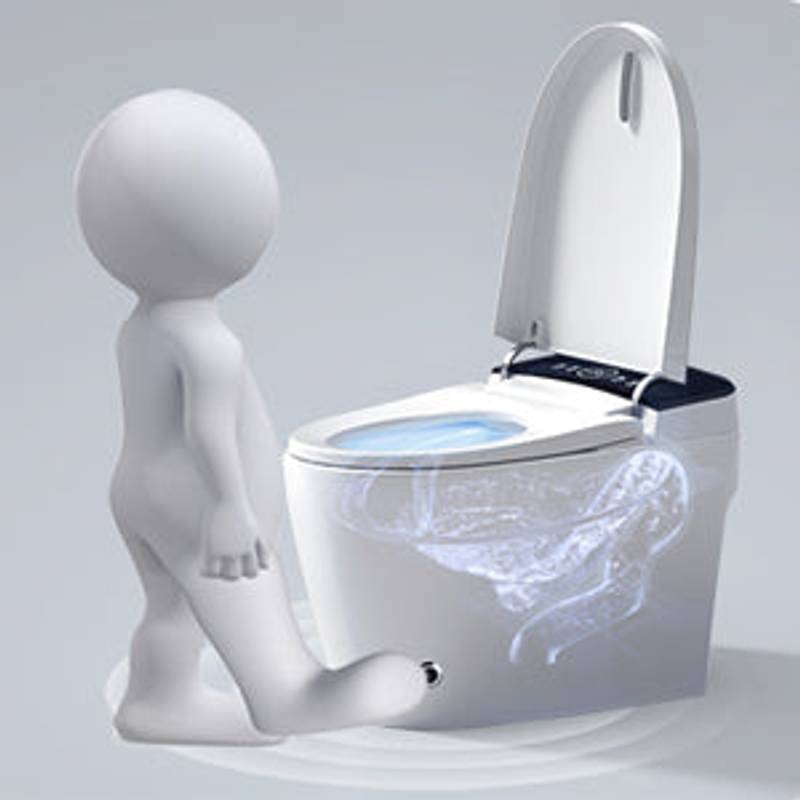 Smart Bidet Toilet: Heated Seat & Auto Features