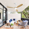 Chic Indoor Ceiling Fan with Remote and LED Light