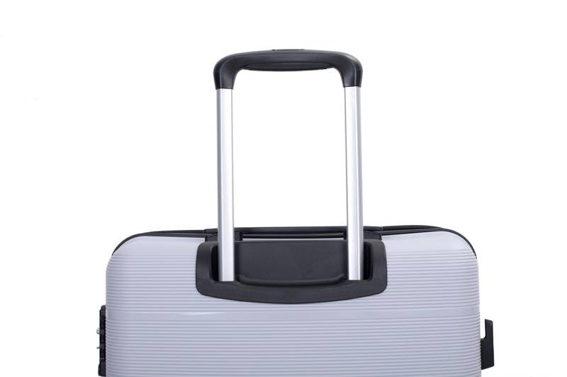 Silver Spin & Secure Luggage Set