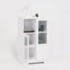 Chic White Glass Door Cabinet