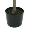 Milan Leaf Bonsai Delight