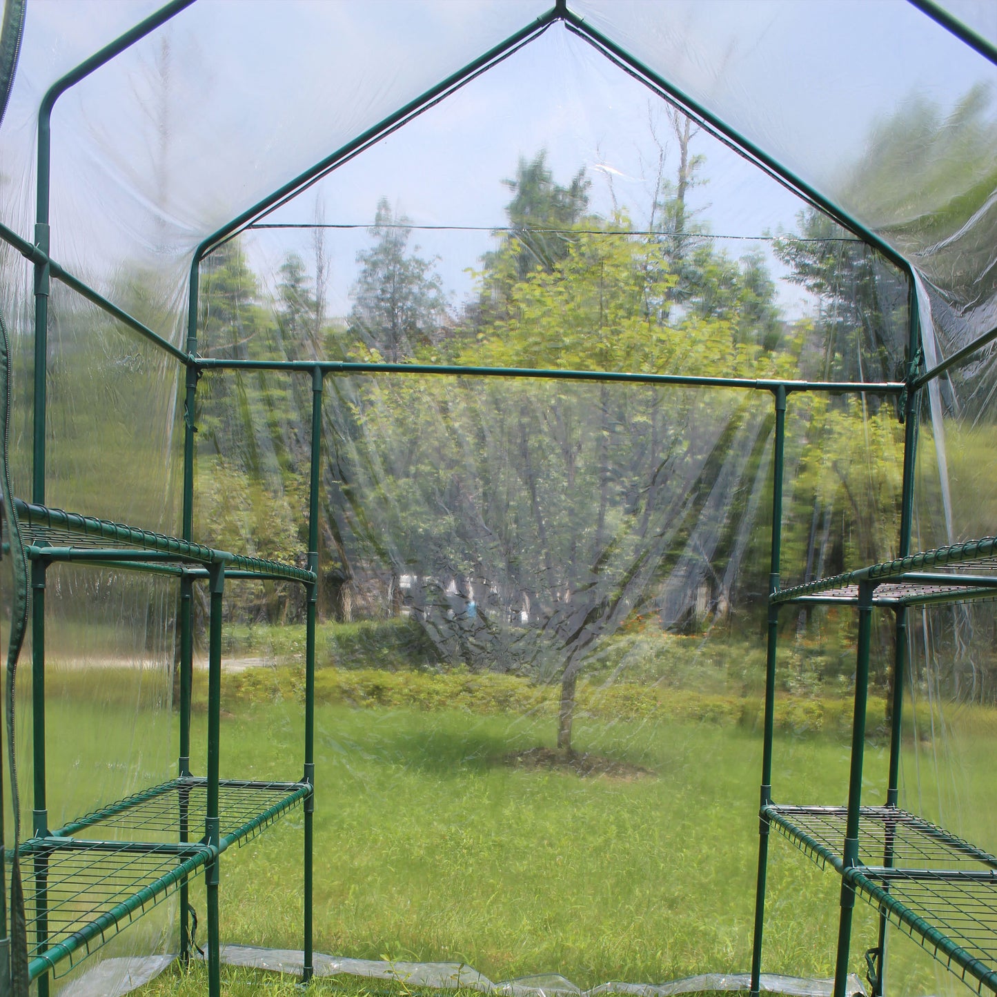 Walk-in Dream Greenhouse with Shelves