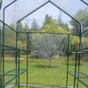 Walk-in Dream Greenhouse with Shelves