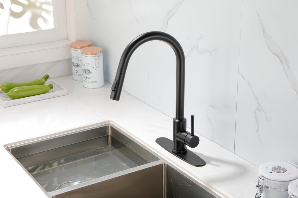 Spray & Splash Kitchen Faucet