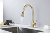 Spray & Shine Kitchen Faucet