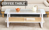 Sleek White Double Layer Coffee Table