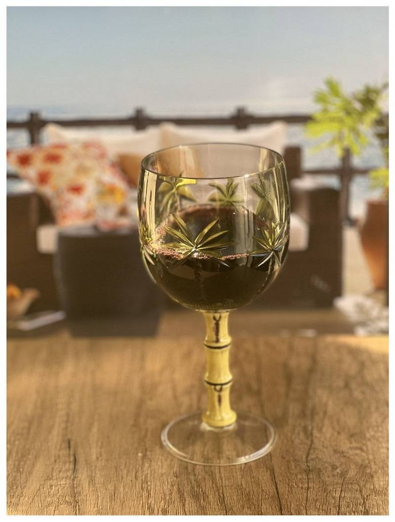 Tropical Vibes Unbreakable Wine Glasses Set