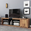 Sleek LED TV Stand & Media Console