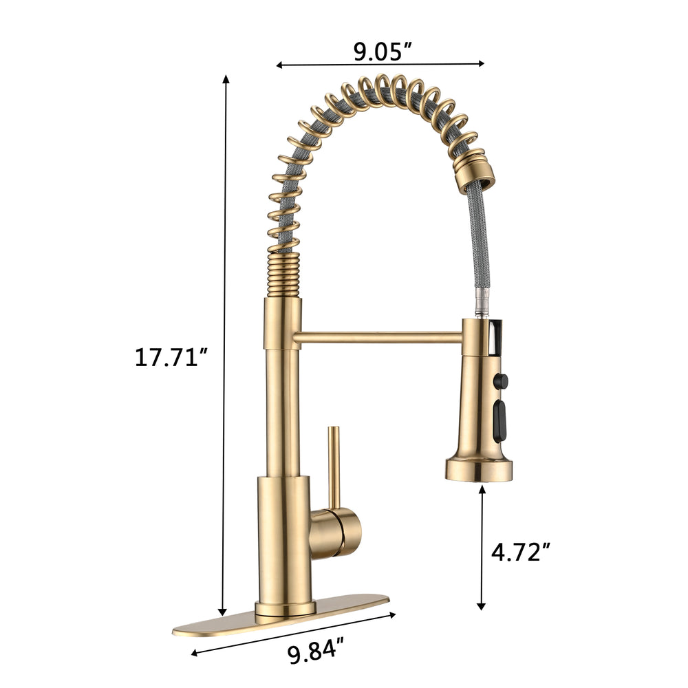 Golden Touch Kitchen Faucet with Pull Down Sprayer