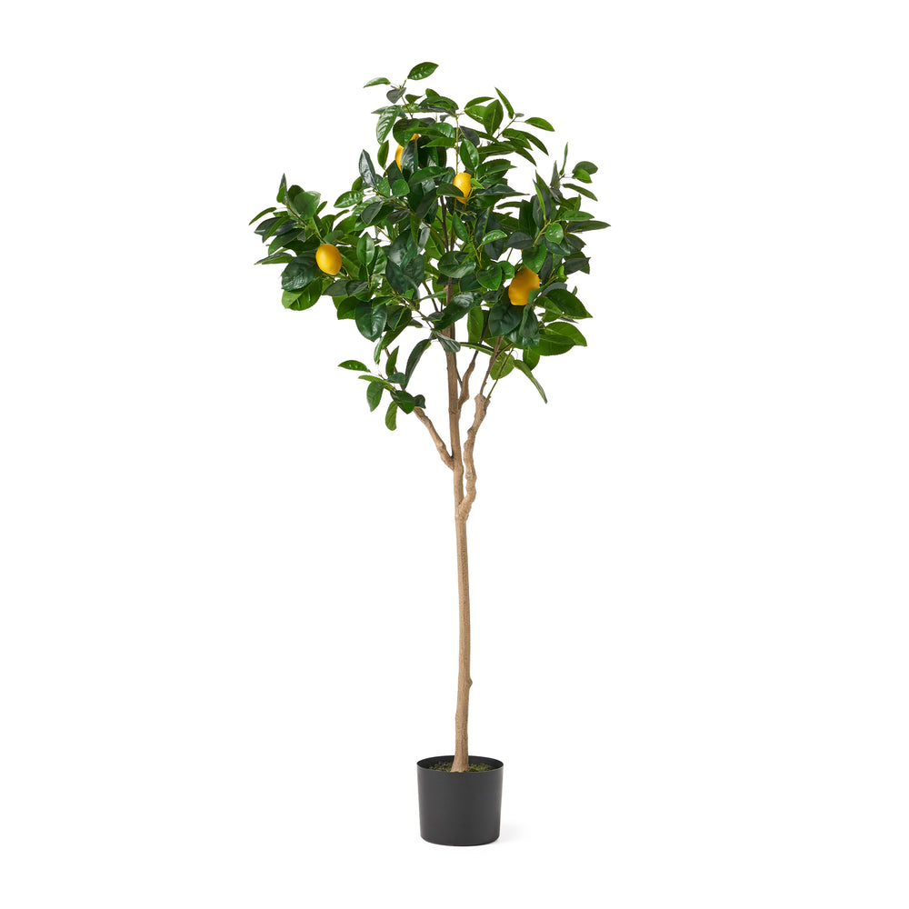 Lively Lemon Tree Décor