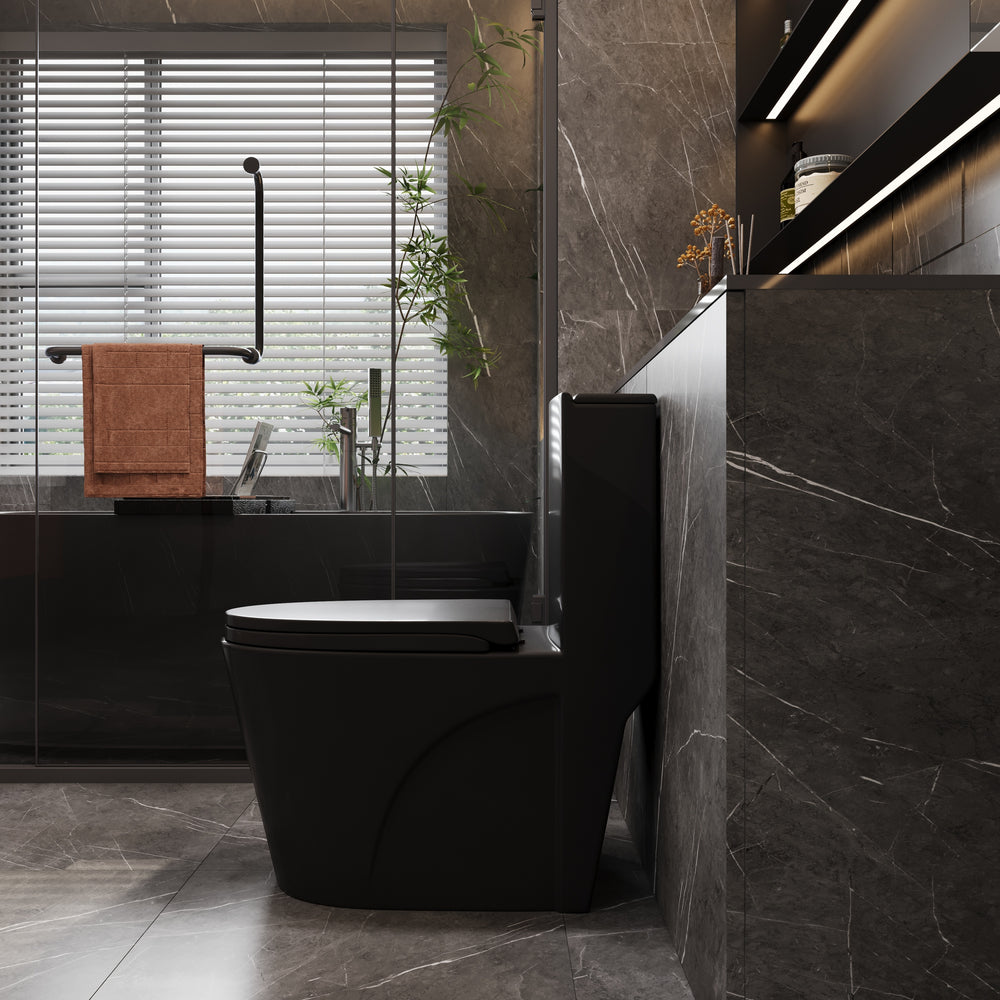 Matte Black Dual-Flush Comfort Toilet