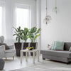 Chic Triple Tall Planters - Perfect for Indoors and Outdoors