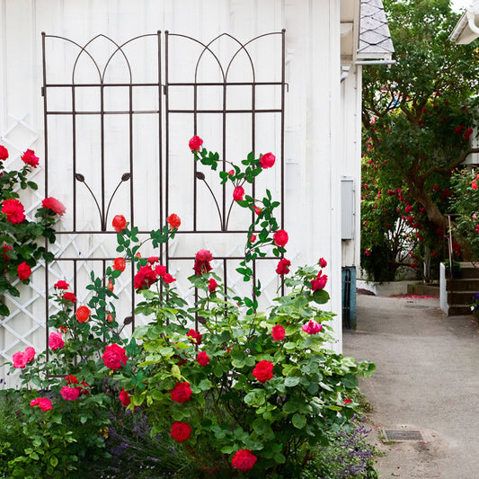 Rustproof Garden Trellis Duo for Climbing Plants