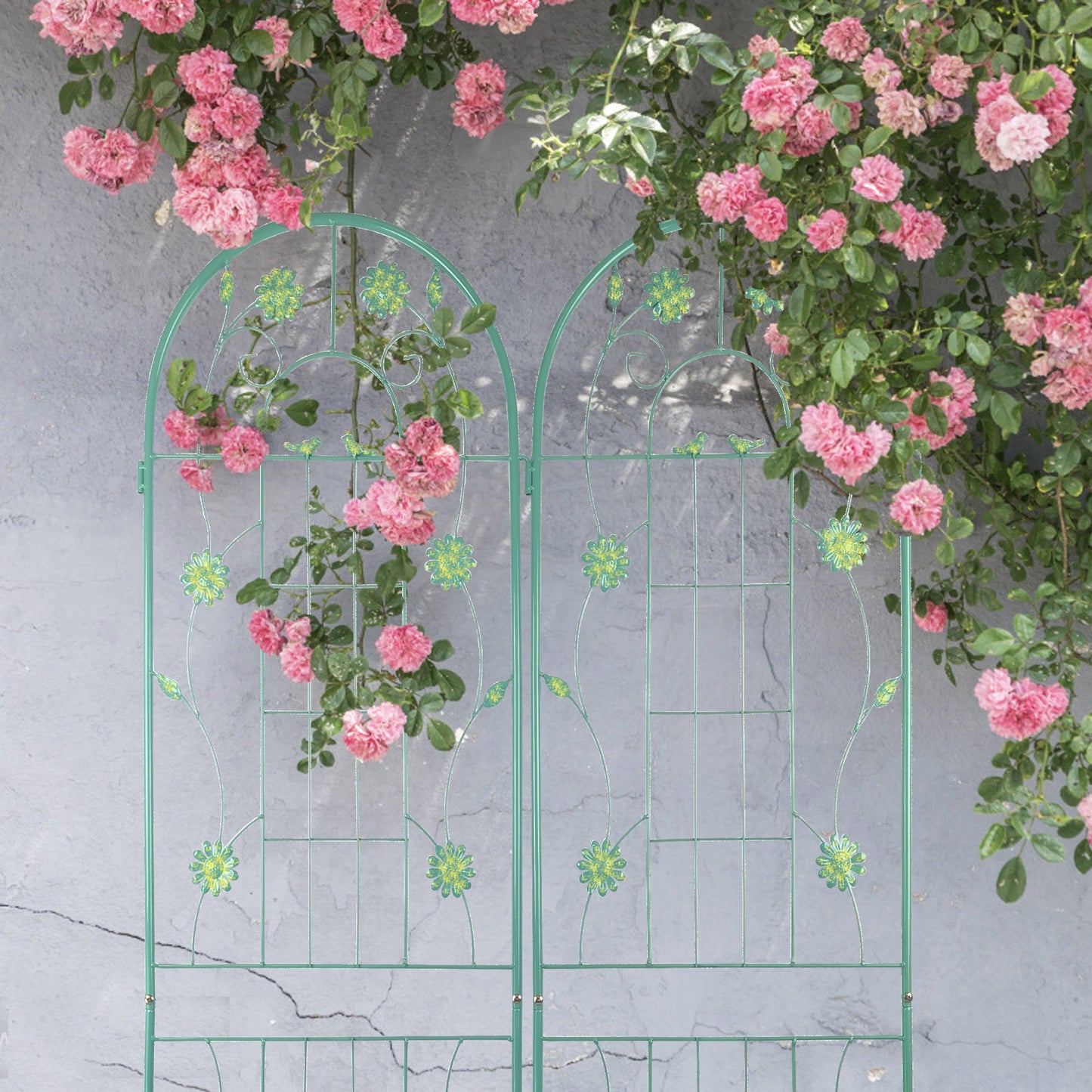 Rustproof Garden Trellis Duo for Climbing Plants