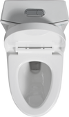 Eco-Friendly Comfort Toilet with Soft Close Seat