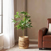 Stylish Faux Pachira Plant