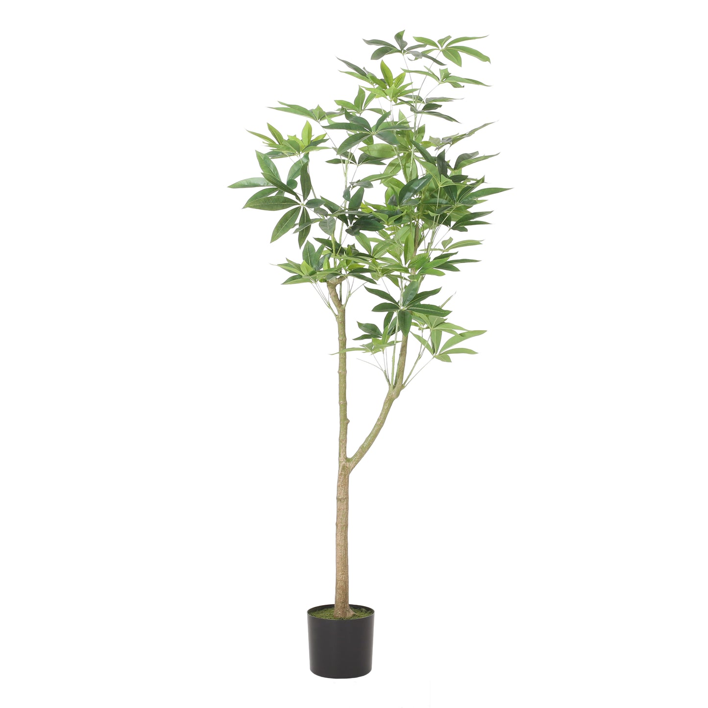 Stunning Faux Money Tree