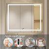 Illuminated Anti-Fog Vanity Mirror