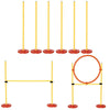 PawHut Dog Agility Starter Kit: Fun Obstacle Course Set