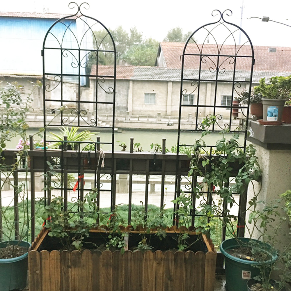 Climb & Shine Trellis Set