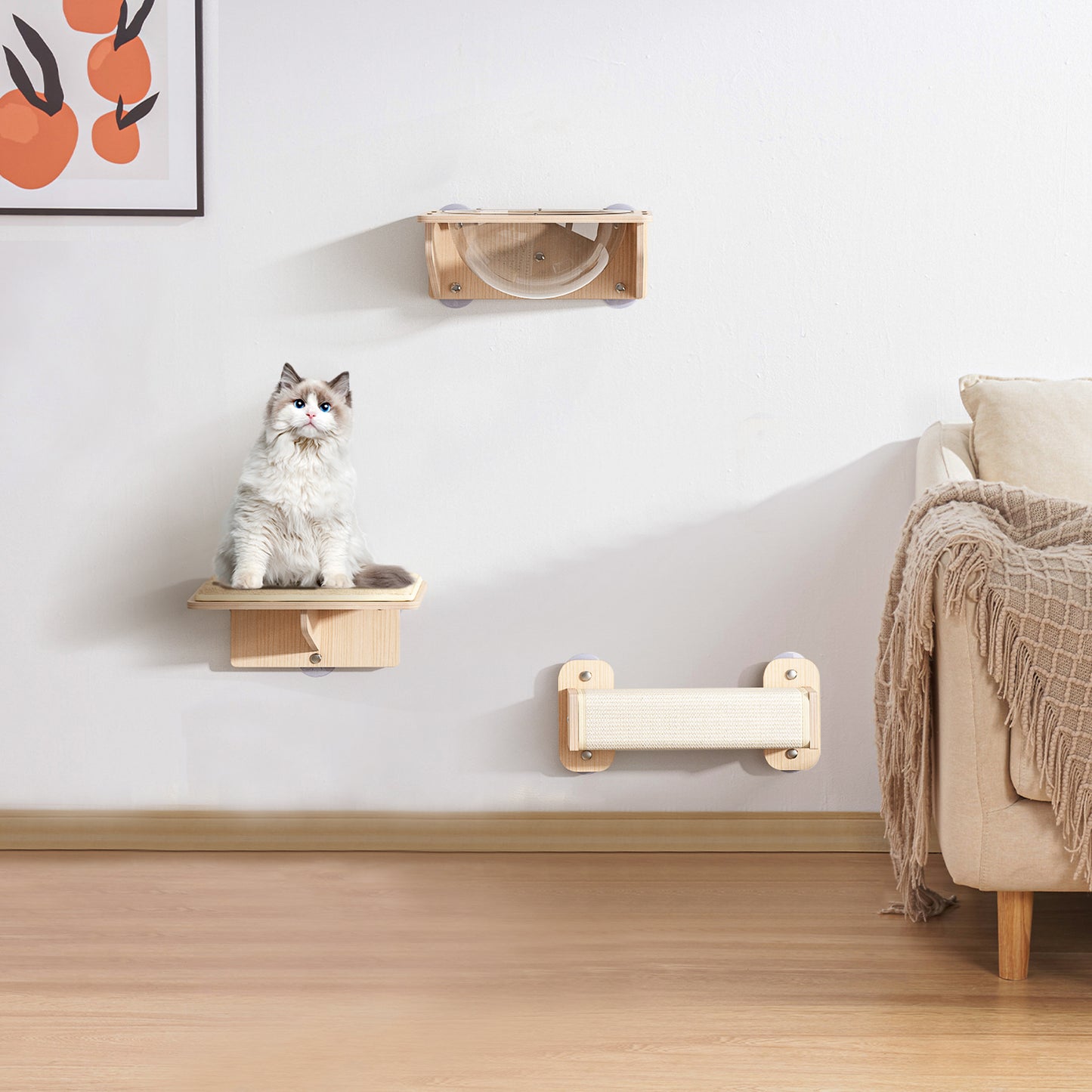 Purrfect Wall Haven for Cats