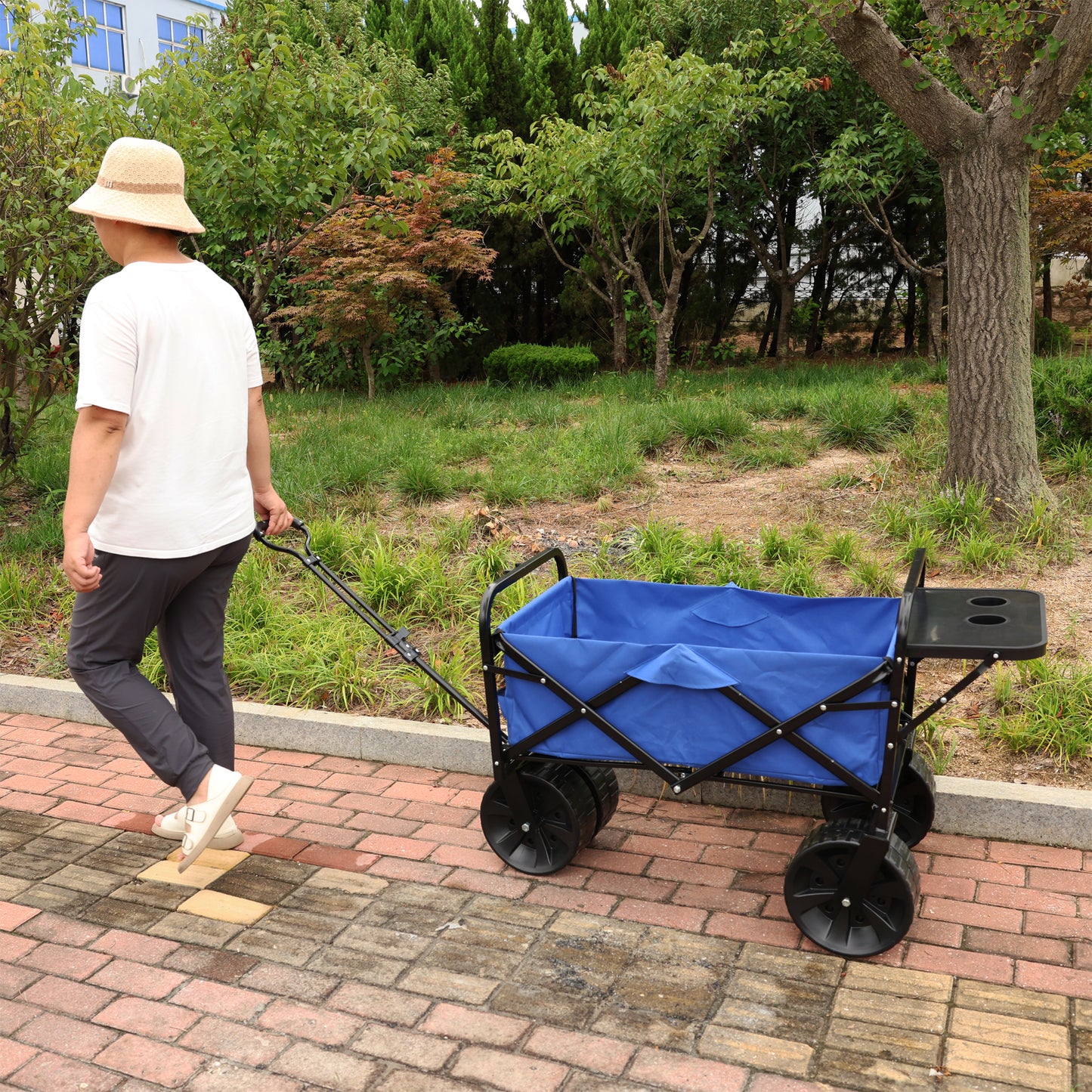 Blue Folding Wagon for All Your Adventures