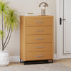 Chic Five-Drawer Storage Chest