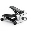 Total Body Portable Stepper with Bands